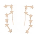 thumbnail image 1 of PVCS Personality Earrings Leaves Double-Sided Diamond Earrings Irregular Mesh, 1 of 1