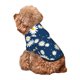 thumbnail image 5 of Balery Daisies Flowers Sudadera con Capucha para Perros Pequeños – Ropa para Mascotas, Disfraz para Perros y Gatos, Ideal para Fiestas y Cosplay-Small, 5 of 7