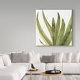 thumbnail image 3 of Trademark Fine Art 'Mixed Greens XXXVIII' Canvas Art by Lisa Audit, 3 of 3