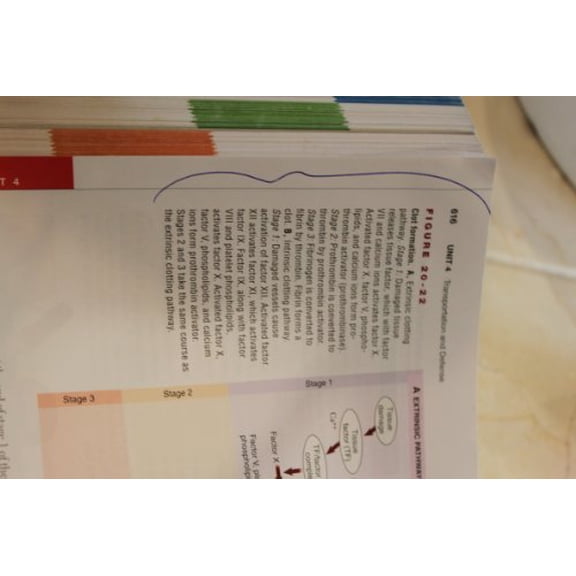 Pre-Owned Anatomy & Physiology (Hardcover) 0323083579 9780323083577