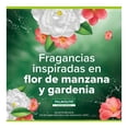 thumbnail image 3 of Jabón Líquido para Manos Palmolive Flor de Manzana rellena-pack 800 ml, 3 of 4