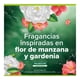 thumbnail image 3 of Jabón Líquido para Manos Palmolive Flor de Manzana rellena-pack 800 ml, 3 of 4