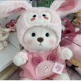 thumbnail image 1 of Osito de peluche hecho a mano, juguete de peluche que cambia de vestido, bolsa de miel, muñeca de peluche de tela para niña, regalo de Navidad para niños, solo tela, sin muñeca, conejito rosa, solo, 1 of 5