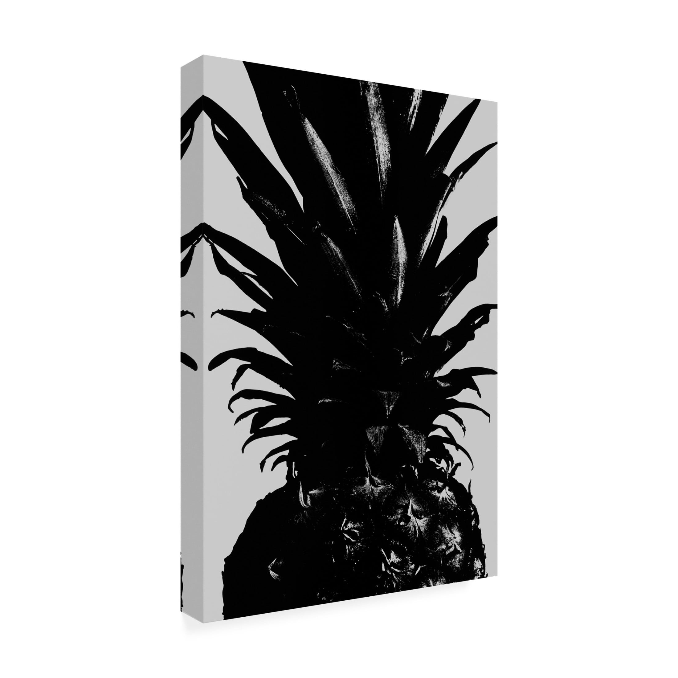 Pictufy Studio III 'Pineapple BW' Canvas Art - 30 x 47 Inches
