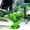 green, variant on FNNMNNR Inspired Glass Weather Storm Forecast Bottle Barometer Home Office DIY Decor