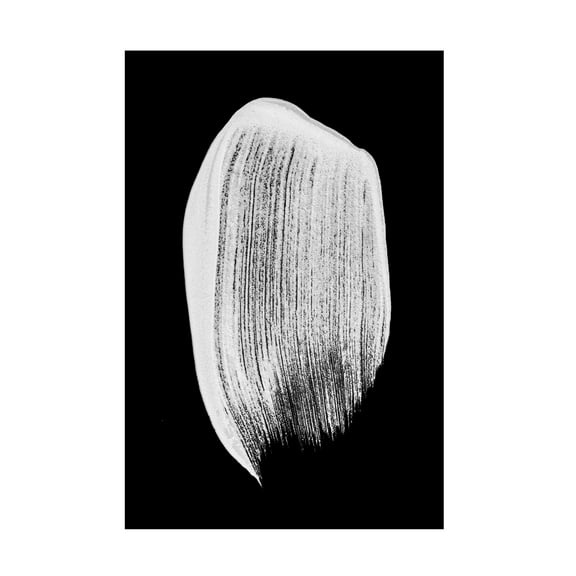 Trademark Fine Art Shot by Clint Minimalism 03 Canvas Wall Art