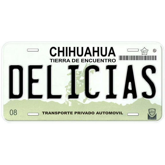 Delicias Chihuahua Mexico Novelty Car License Plate