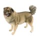 thumbnail image 1 of Figuras de animales para perros, juego educativo, manualidades, figura en miniatura, decoración para regalo de cumpleaños, juguete cognitivo para niños, amantes de los perros Perro pastor, 1 of 10