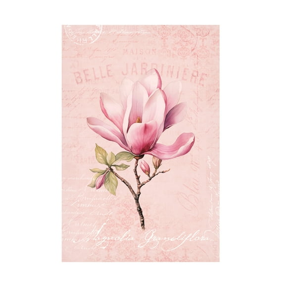 Trademark Fine Art Andrea Haase Magnolia Pink No1 Canvas Wall Art