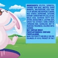 thumbnail image 6 of Mentos Pure Fresh Gum, Spring Edition, Bubble Fresh, Sugar Free, 50 Piece Bottle, 6 of 6