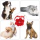 thumbnail image 3 of CRILSTYLEO Collar Para Perro Con De Ajustable Y Amigable Para, 3 of 7