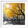 thumbnail image 2 of Art.com Park Pretty II Photographic Print by Assaf Frank, White Frame Wall Art, 21" x 21", 2 of 4