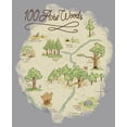 thumbnail image 2 of Boy's Winnie the Pooh 100 Acre Woods Map Pull Over Hoodie Athletic Heather X Large, 2 of 4