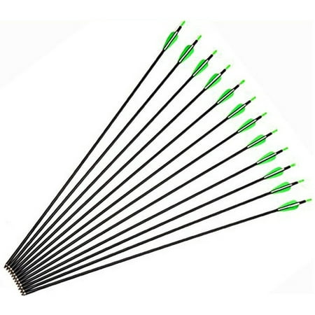 Carbon Arrows 30-Inch Fletching 2.5'' Target Practice Archery Arrows for Recurve or Compound Bow(12 (Best Compound Bow Arrows For Hunting)
