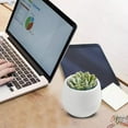 thumbnail image 2 of 2 Pack Mini Succulent Pot, 3 Inch Starter Pots Small Cute Succulent Planter with Drainage for Indoor & Outdoor Plants, Home Decor, Free Assembly, 2 of 9