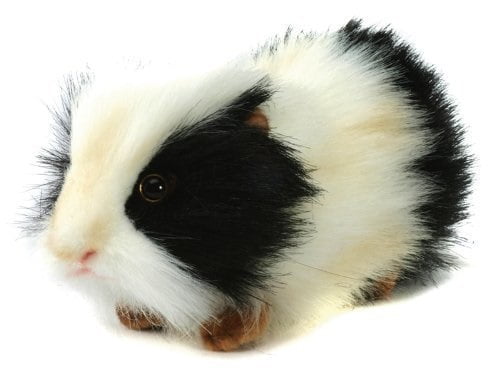 stuffed animals for guinea pigs