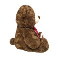 thumbnail image 4 of Peluche Way To Celebrate Oso Café  46cm, 4 of 4