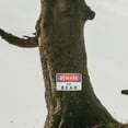 thumbnail image 4 of WEUVEB Vintage Bear Caution Metal Sign for Outdoor Garden Yard Decor - Warning Sign for Home Safety, 4 of 8