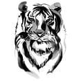 thumbnail image 2 of Billinghurst, Marina 26x26 Black Ornate Wood Framed with Double Matting Museum Art Print Titled - Tiger, 2 of 4