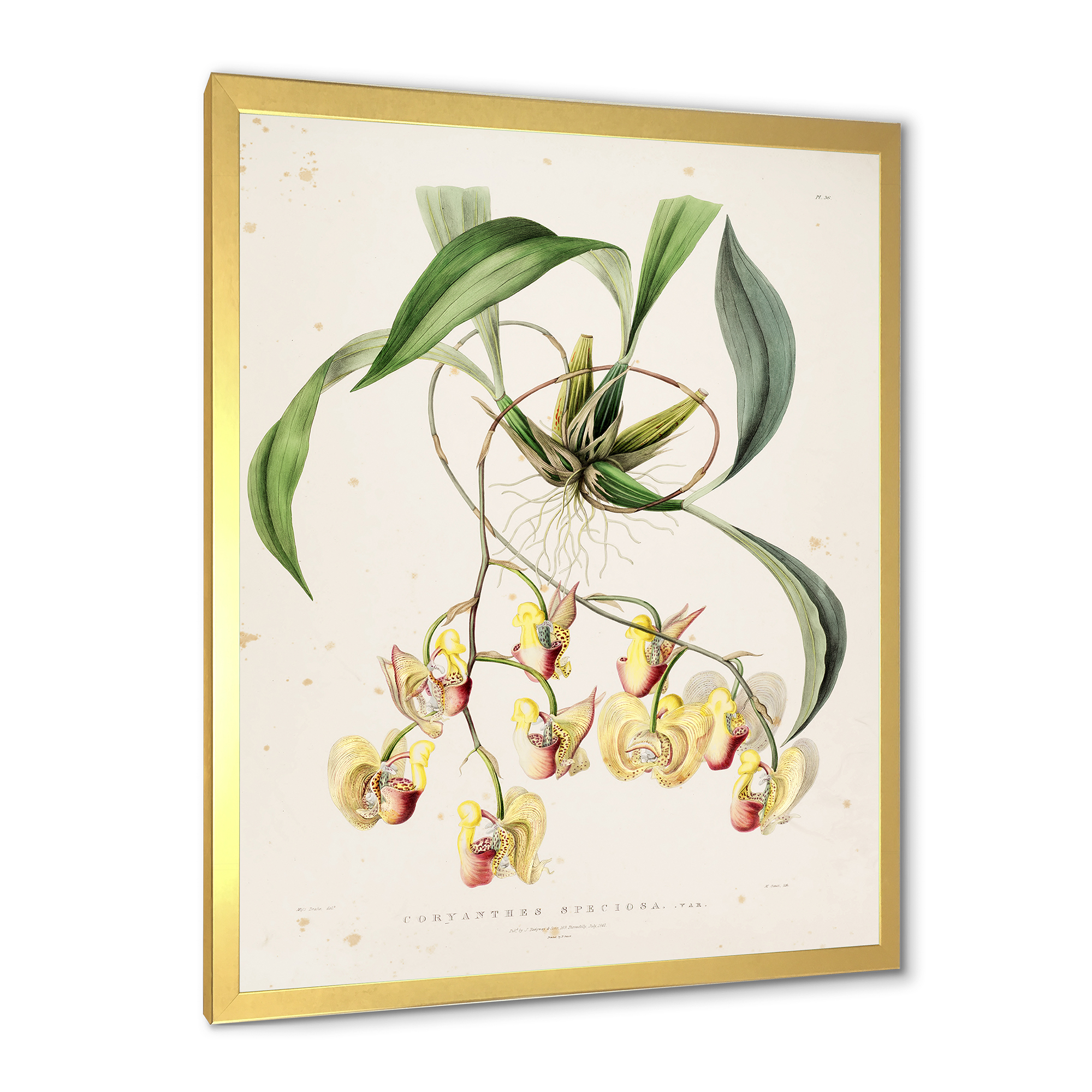 Designart 'Blossoming Vintage Flower I' Traditional Framed Art Print