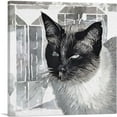 thumbnail image 1 of ARTCANVAS Tonkinese Cat Breed Gray Canvas Art Print - Size: 12" x 12" (1.50" Deep), 1 of 9
