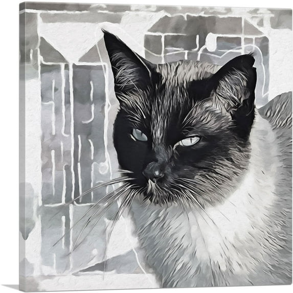 ARTCANVAS Tonkinese Cat Breed Gray Canvas Art Print - Size: 12" x 12" (1.50" Deep)