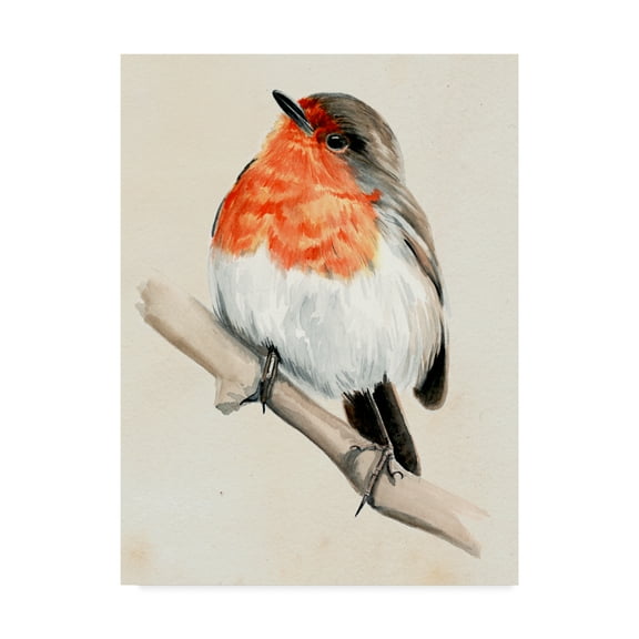 Trademark Fine Art 'Little Bird on Branch IV' Canvas Art by Jennifer Paxton Parker