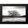 thumbnail image 2 of Hausenflock, Alan 14x11 Black Modern Framed Museum Art Print Titled - Winter Tree II, 2 of 5