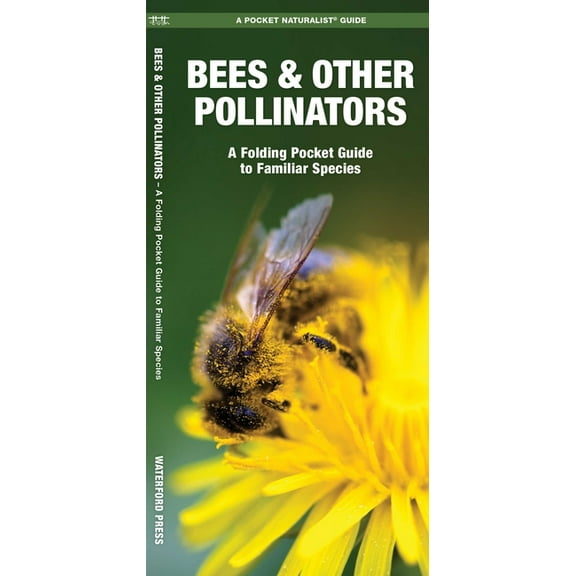 Wildlife and Nature Identification: Bees & Other Pollinators : A Folding Pocket Guide to Familiar Species (Other)