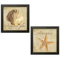 thumbnail image 1 of Lovely Tan and Brown Ocean Clam Shell and Starfish Sea Set by Tara Reed; Coastal Décor; Two 12x12in Black Framed Prints, 1 of 5