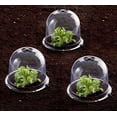 thumbnail image 2 of Mr.Garden Plastic Protective Garden Cloche, Plant Bell Cover, Plant Protector Cover for Season Extension with Ground Securing Pegs, 10Pack, Dia13 xH11.8, 2 of 3