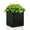 Black-17LX17WX20H, variant on Metallic Heavy Cube Planter Box, 21Lx21Wx24H inches, Large Square Planter for Outdoor and Indoor 35lb Black with Gold Rim