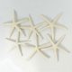 thumbnail image 3 of 24pcs White Finger Starfish 5-10cm Decorative Five-finger Starfish, 3 of 5