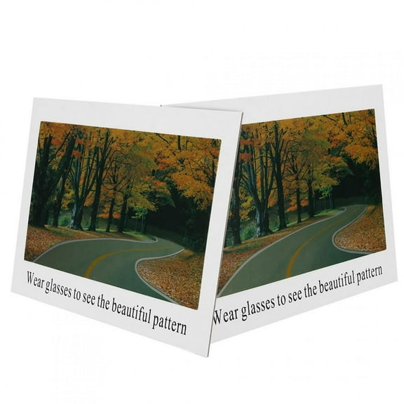 Dioche 2Pcs Polarized Sunglasses Test Card Check Glasses Polarized Paper Polarized Spectacles Examination Decorative Painting 17x14cm