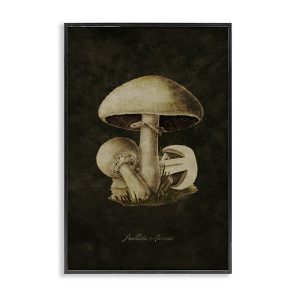 Stupell Industries Portobello Mushroom Study Plants & Flowers Painting Black Framed Art Print Wall Art, 12 x 18