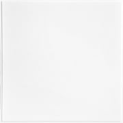 Smooth Economy 24 in. x 24 in. Revealed Edge Lay-in Ceiling Tile in Gloss White (120 Sq.Ft / Pack) - 30 Pieces