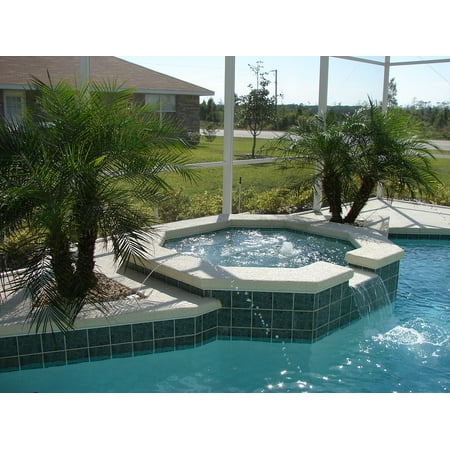 - LAMINATED POSTER Swimming Pool Blue Pool Relaxation Water Spa Poster Print 24 x 36