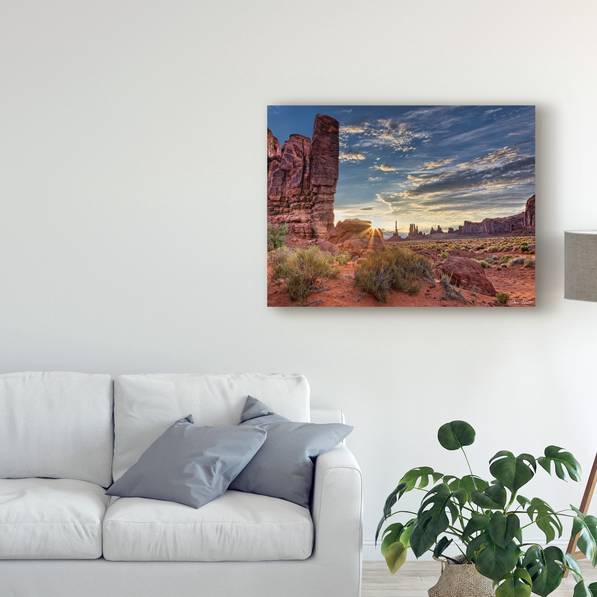 Trademark Fine Art 'Valley Beauty IV' Canvas Art by David Drost