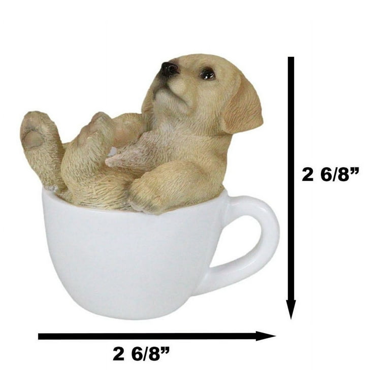 Teacup mini golden retriever sales