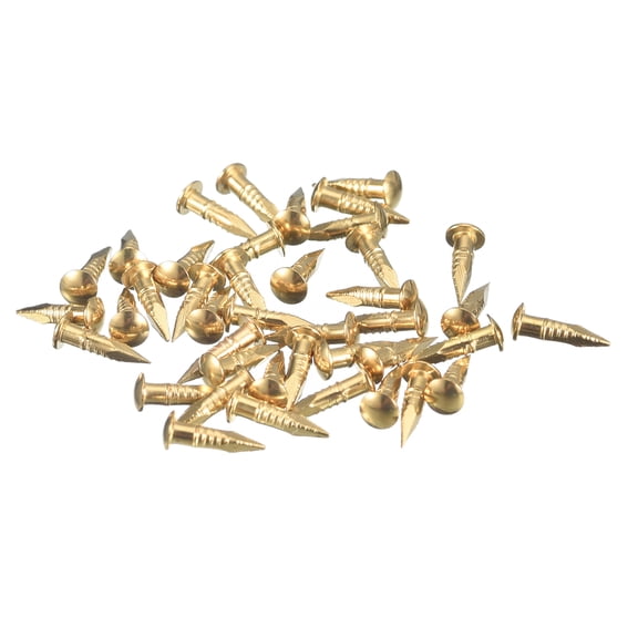 Uxcell 70Pcs Small Tiny Nails 2x10mm(DxL) Tiny Brass Nails Hardware Round Head Brass Nail for Wooden DIY Projects, Brass Tone