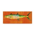thumbnail image 1 of Trademark Fine Art 'King Mackerel' Canvas Art by John W. Golden, 1 of 3