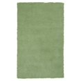 thumbnail image 1 of HomeRoots 353408 Tapis de Zone Polyester Menthe Verte 27 x 45 Po., 1 of 1