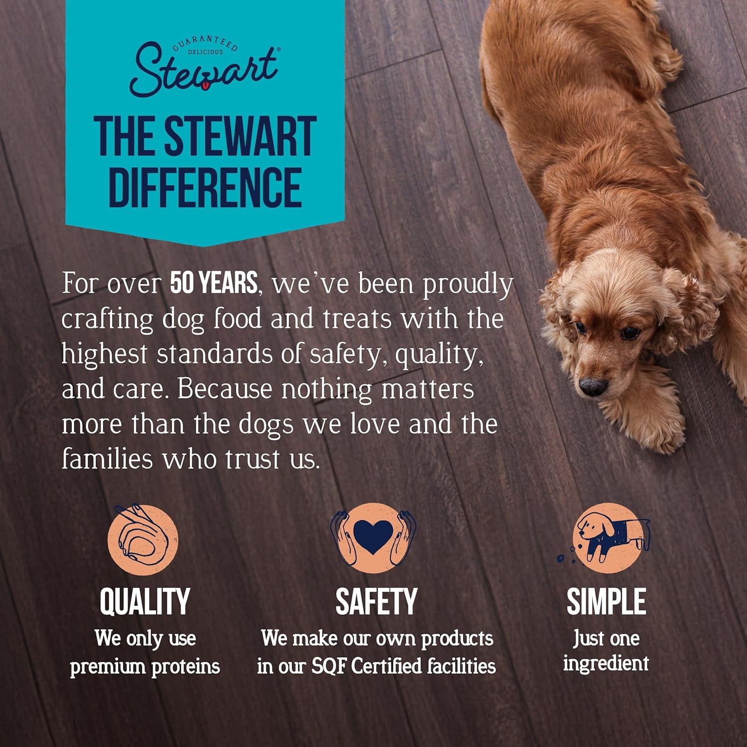 Stewart Freeze Dried Salmon Dog Treats, 9.5 oz Tub
