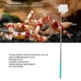 thumbnail image 3 of Red De Pesca De Camarones Retráctil, Red De Captura De Camarones De Acero Inoxidable Con Ergonómico Para Pesca De Camarones, Opciones De Red Cuadrada Y Redonda, 3 of 7