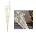thumbnail image 4 of Centros de mesa de flores secas de 24'' Arreglo floral blanco, 4 of 9