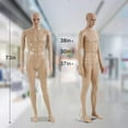 thumbnail image 6 of FDW 38"x30"x73" Polypropylene Adjustable Mannequin with Rotating Head & Arms, 6 of 7