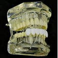 thumbnail image 5 of White Grillz Bottom Teeth  Removable False Fake Six Teeth Plastic Grill Hip Hop Mouth Grills, 5 of 5