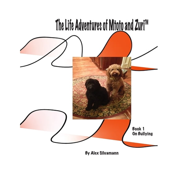 The Life Adventures of Mtoto and Zuri (Paperback)