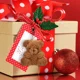 thumbnail image 5 of 12-48 piezas de mini osos de peluche pequeños de peluche a granel, oso de juguete, muñeco de oso, llaveros, decoración, regalos de fiesta para baby shower, Navidad, 5 of 5