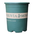 thumbnail image 1 of Olla de galón, maceta gruesa, balcón, verduras en maceta, plantas verdes, rosa, maceta de plástico suculenta, 1 of 5